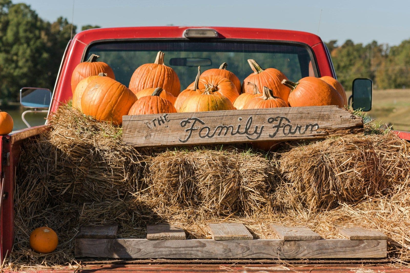 Family Photos in the Pumpkin Patch: Creating Perfect Fall Memories
