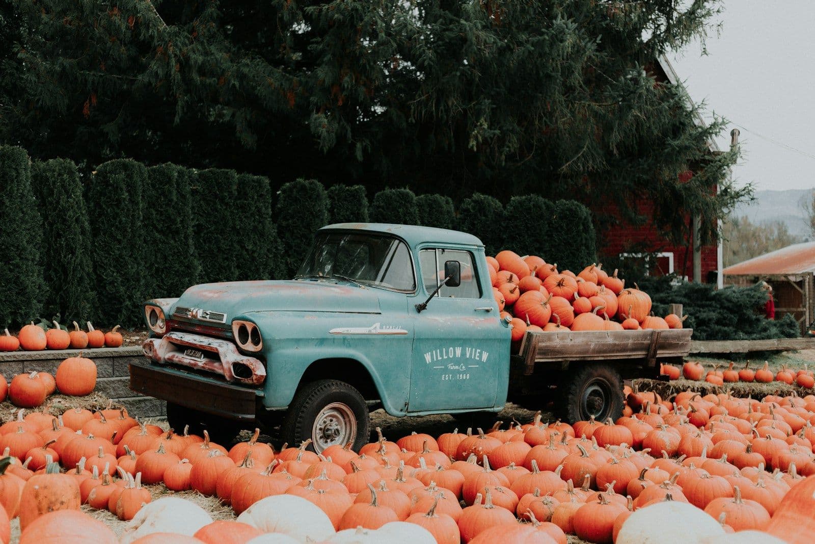 Autumn Photo Shoot Ideas in Southeast Michigan