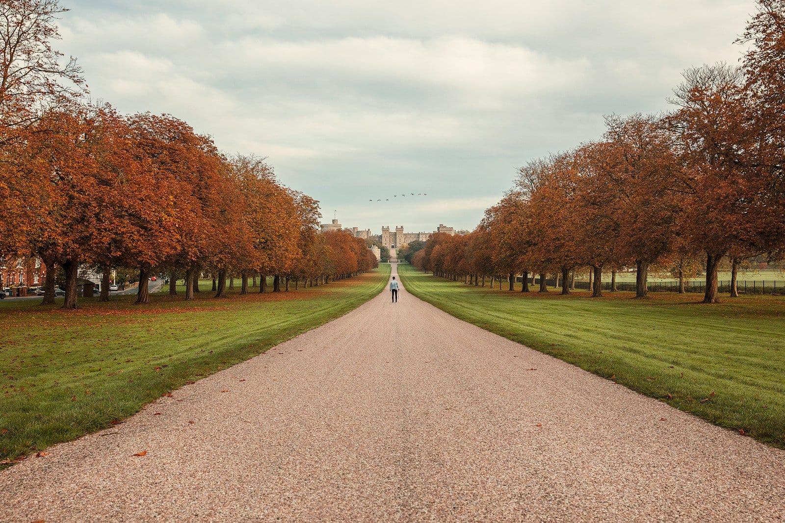 person walking path toward trees